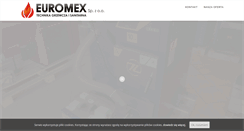 Desktop Screenshot of euromex.pl