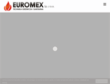 Tablet Screenshot of euromex.pl