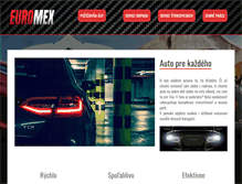 Tablet Screenshot of euromex.sk